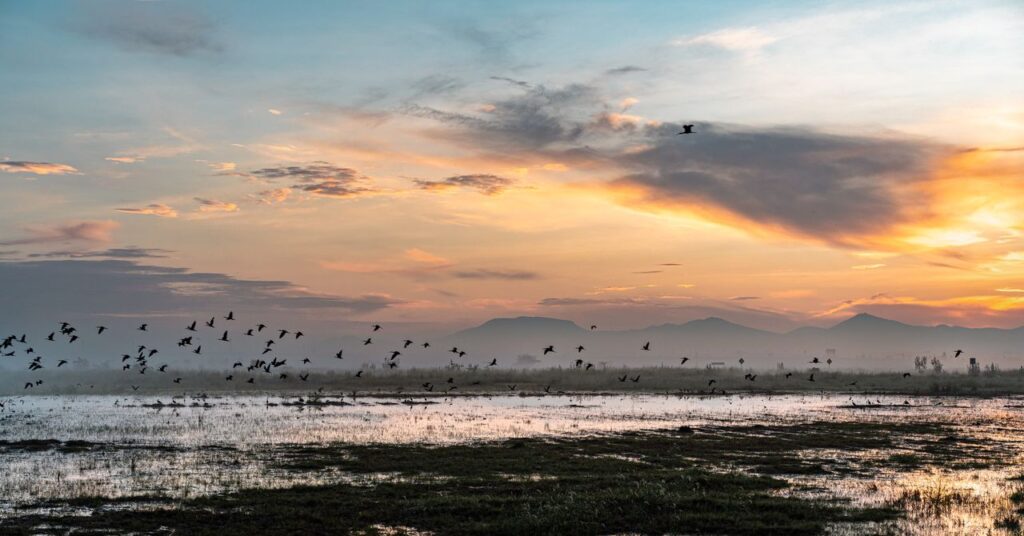 Rainfall Buries a Mega-Airport in Mexico