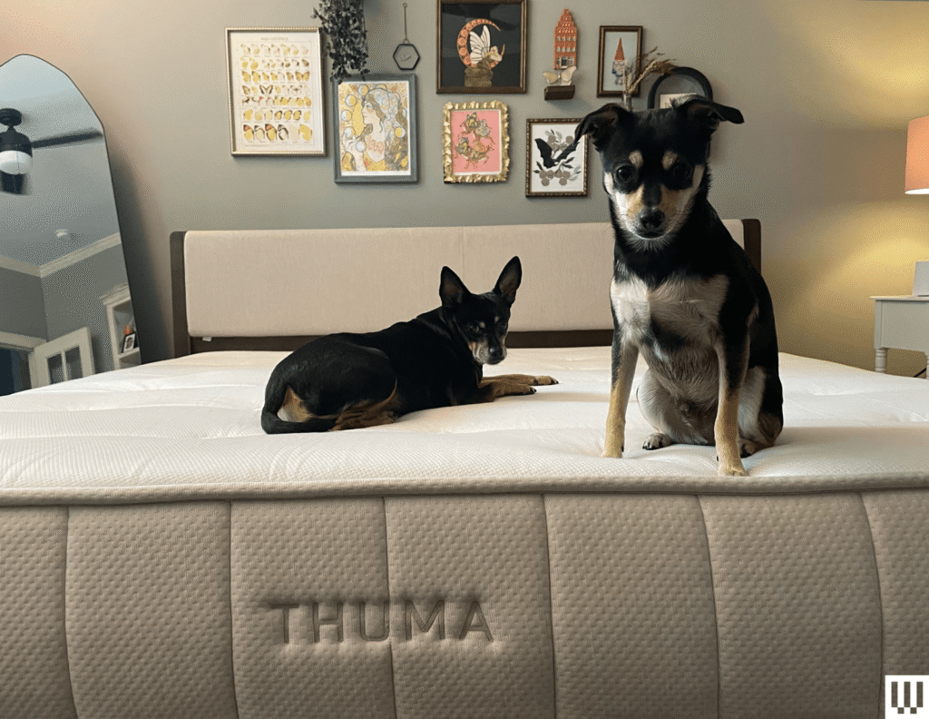 Thuma Hybrid Mattress Review: Firm but Favorable