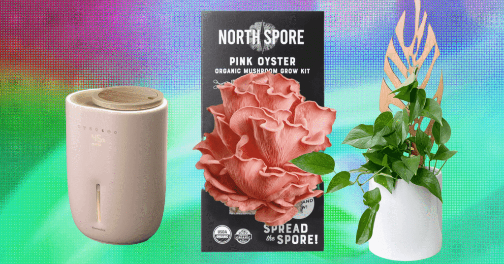The 17 Best Gifts for Plant Lovers We’d Buy Ourselves (2025)